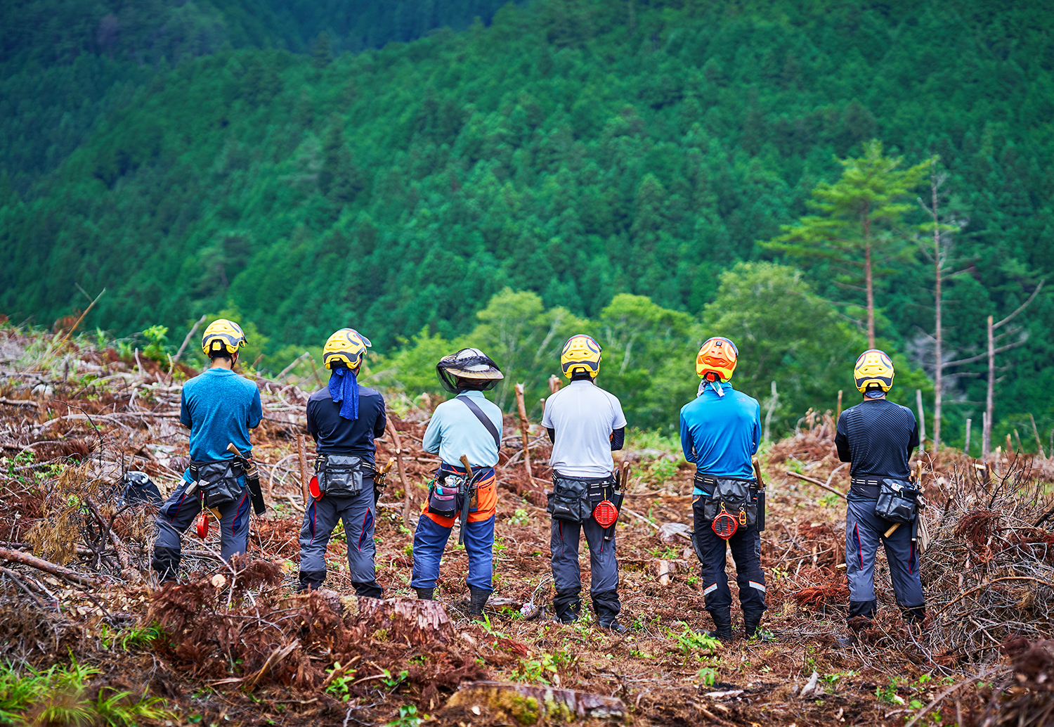 高知県梼原町移住サイト ReMORI公式ライン 友だち募集中
